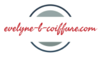 logo evelyne-b-coiffure.com